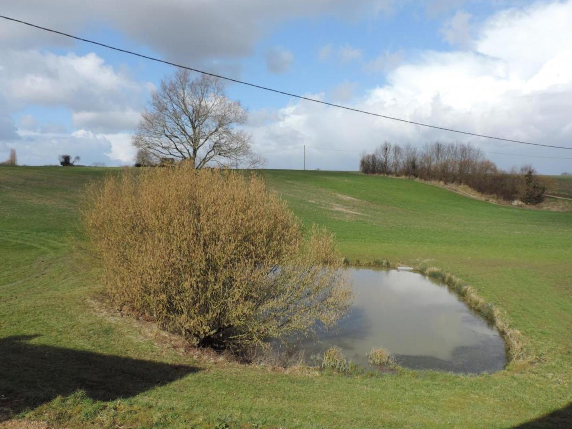 Maison De Campagne Renovee Avec Jardin Clos, Terrasse, Jeux, 5 Chambres, Et Animaux Acceptes - Fr-1-497-109 Mauves-sur-Huisne エクステリア 写真